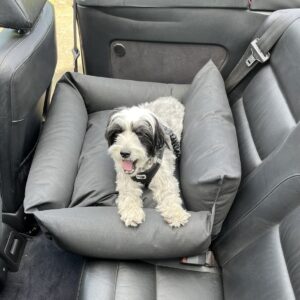 Hundeautositz Viaggio